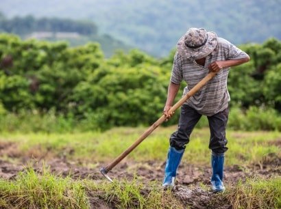 Sustainable Agriculture