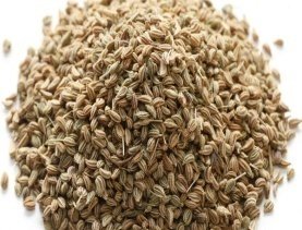 AJOWAN  BISHOP’S  WEED