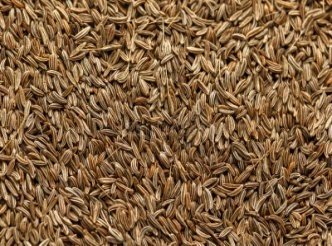 PERSIAN  CUMIN  CAREWAY